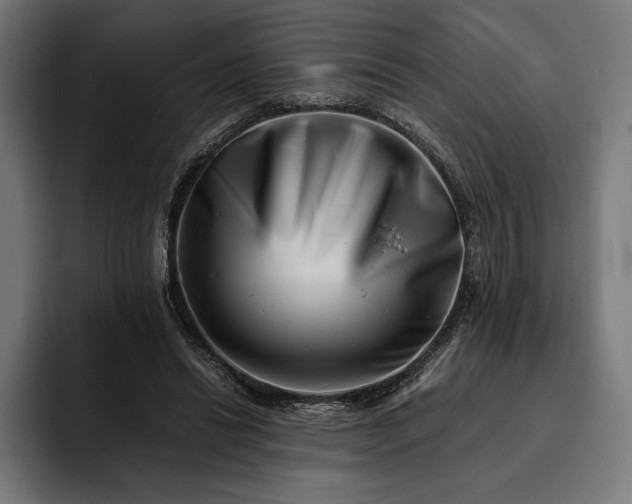 X0000093120446200710101043