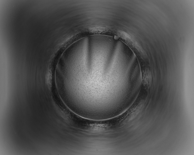 X0000093120448200710101043