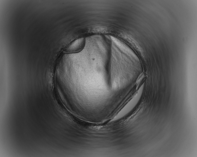 X0000093120449200710101043