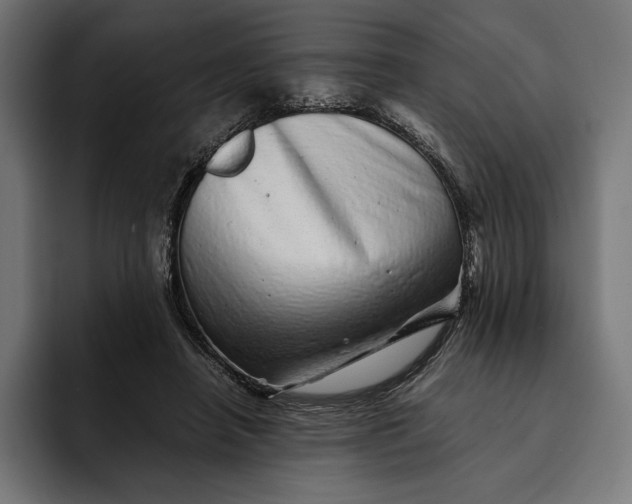 X0000093120450200710101043