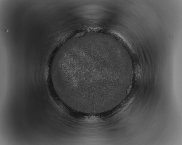 X0000093120451200710101043