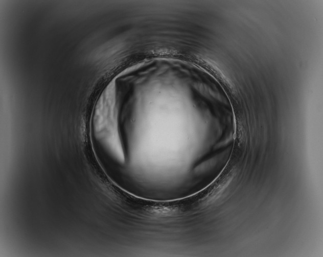 X0000093120453200710101043