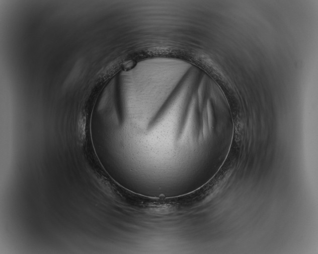 X0000093120454200710101043