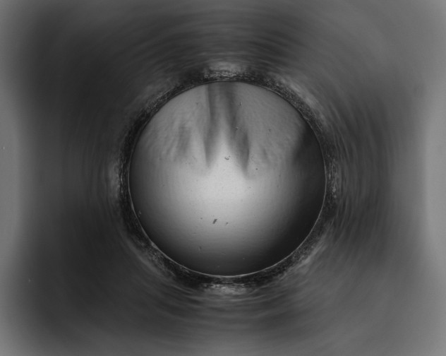 X0000093120455200710101043