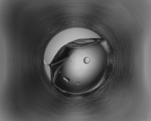 X0000093120456200710101043