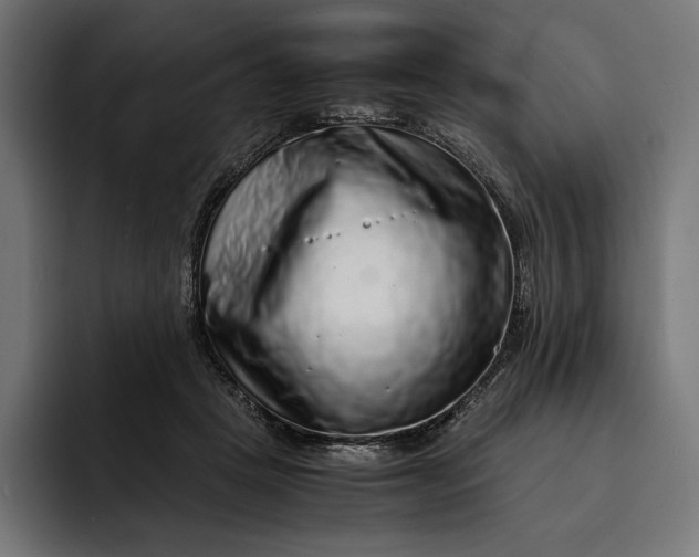 X0000093120457200710101043