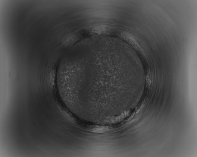 X0000093120458200710101043