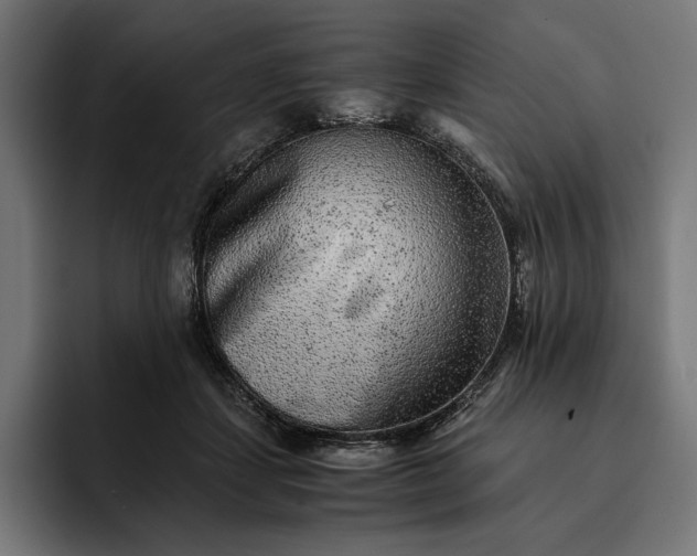 X0000093120459200710101043