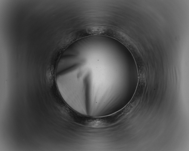 X0000093120460200710101043