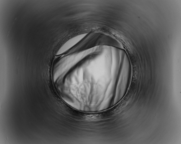 X0000093120461200710101043