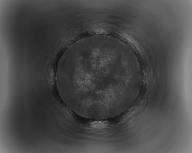 X0000093120465200710101043