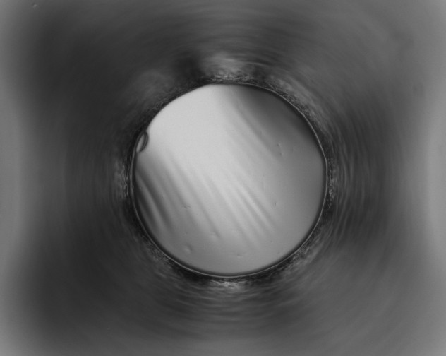 X0000093120469200710101043