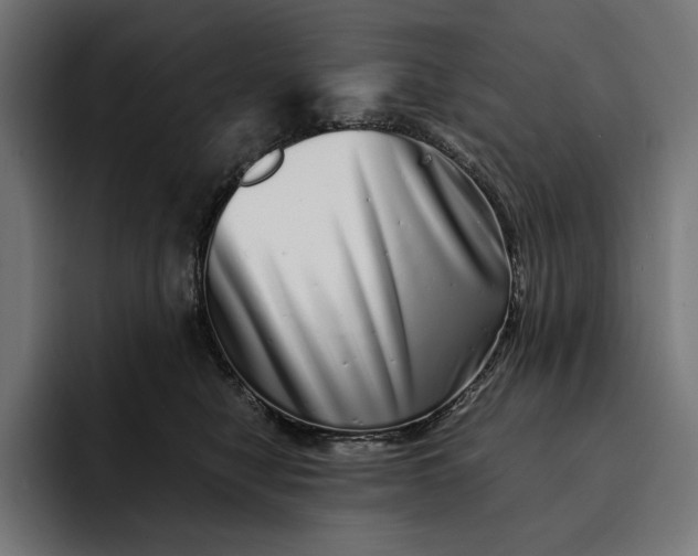 X0000093120470200710101043