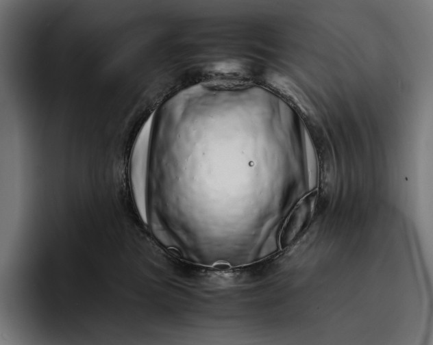 X0000093120473200710101043