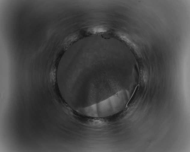 X0000093120475200710101043