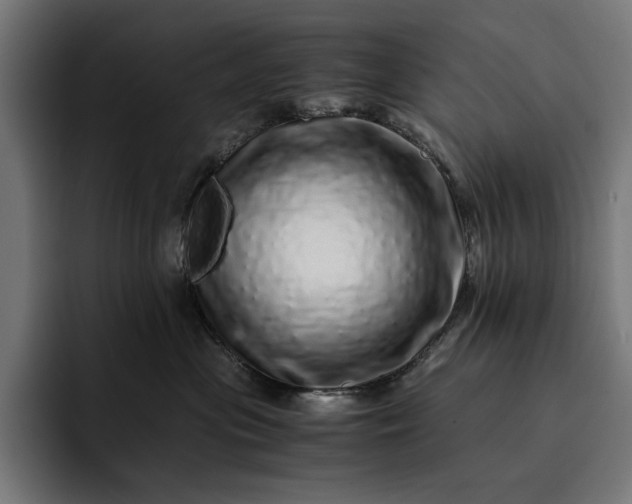 X0000093120477200710101043