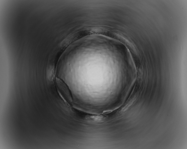 X0000093120478200710101044