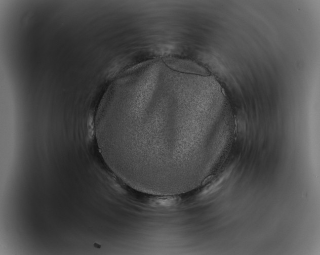 X0000093120479200710101044