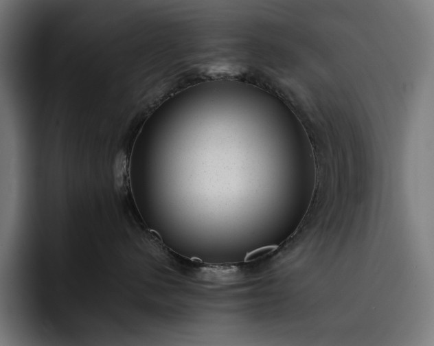 X0000093120480200710101044