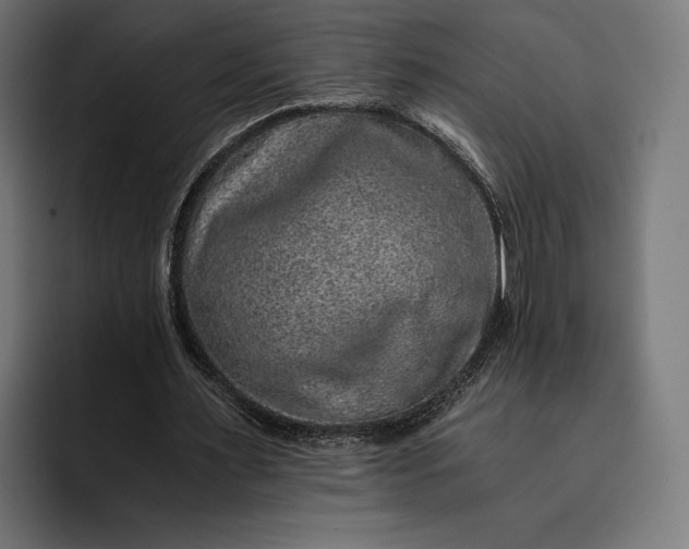 X0000093120483200710101043