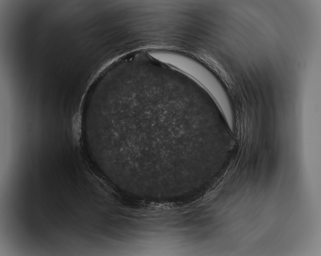 X0000093120484200710101043