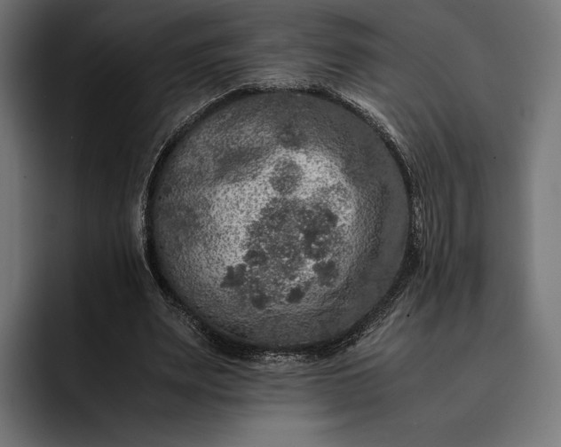 X0000093120487200710101043