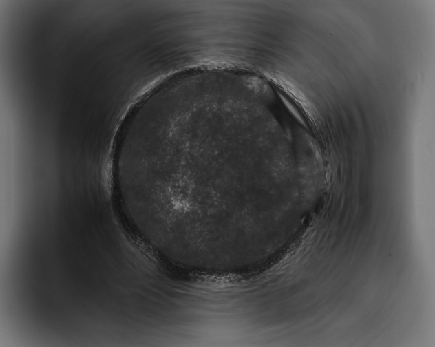 X0000093120488200710101043