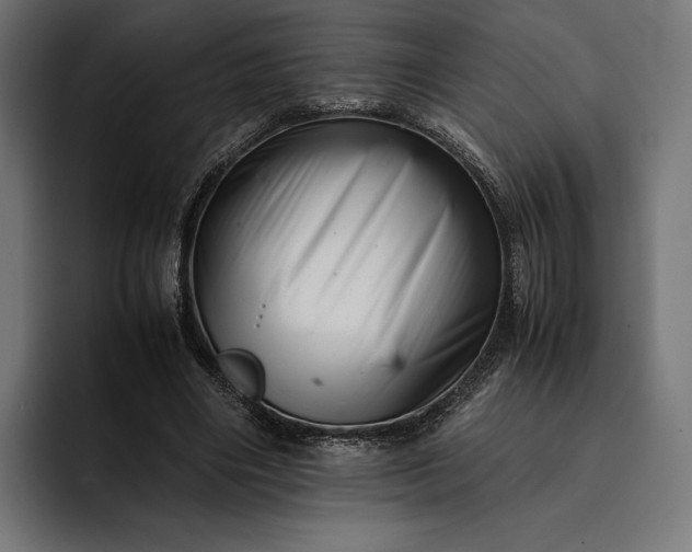 X0000093120490200710101043