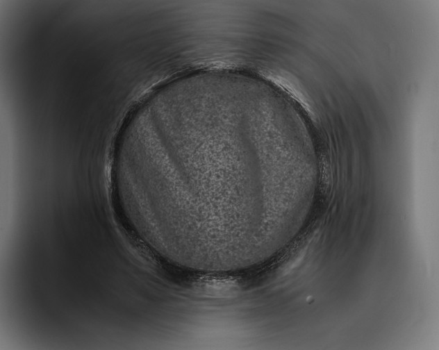 X0000093120491200710101043