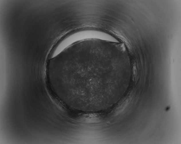 X0000093120492200710101043