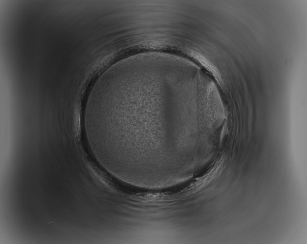 X0000093120493200710101043