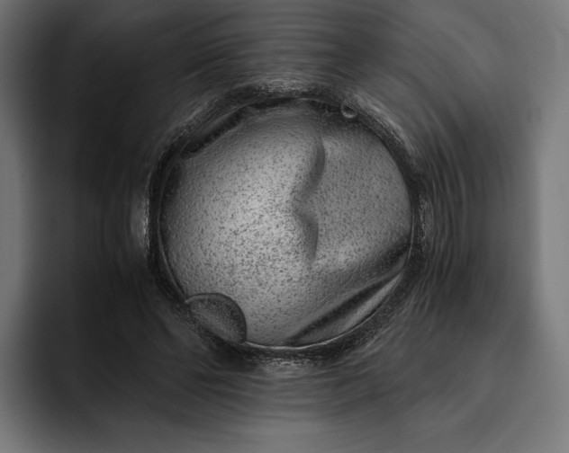 X0000093120494200710101043