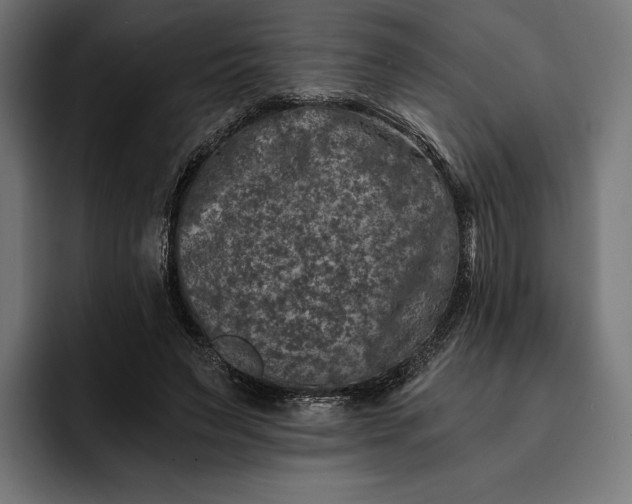 X0000093120495200710101043