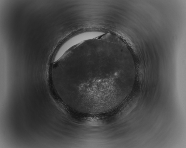 X0000093120496200710101043