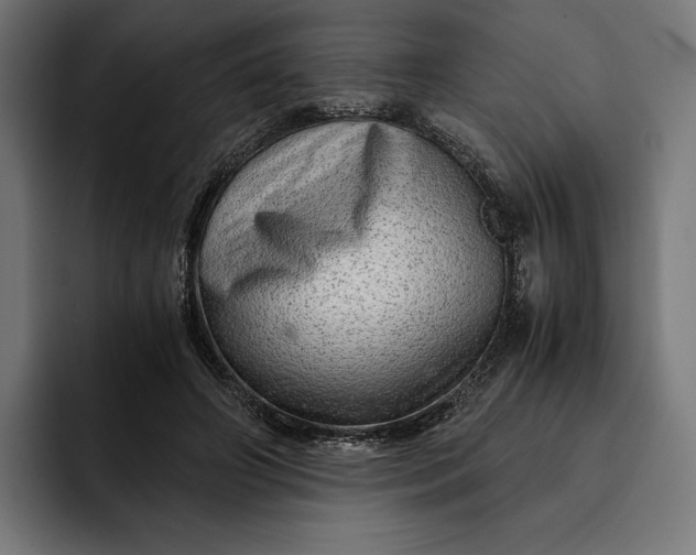 X0000093120498200710101043