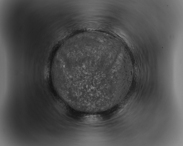 X0000093120499200710101043