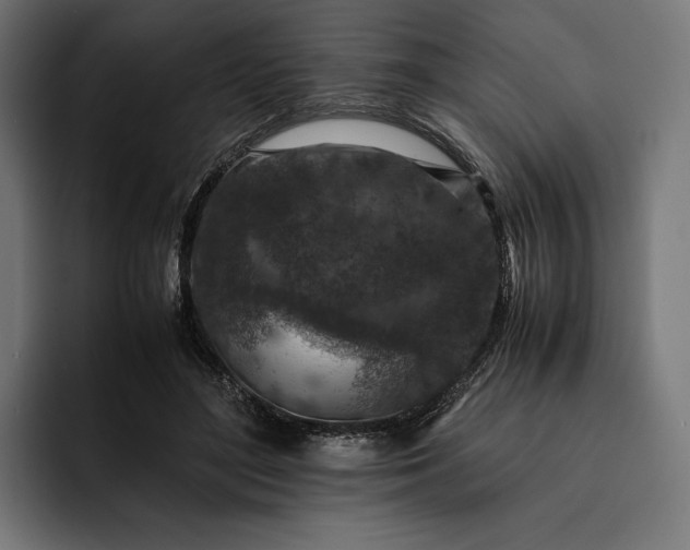 X0000093120500200710101043