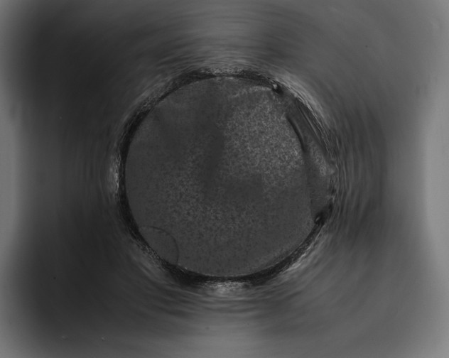 X0000093120501200710101043