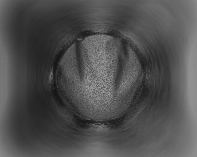 X0000093120502200710101043