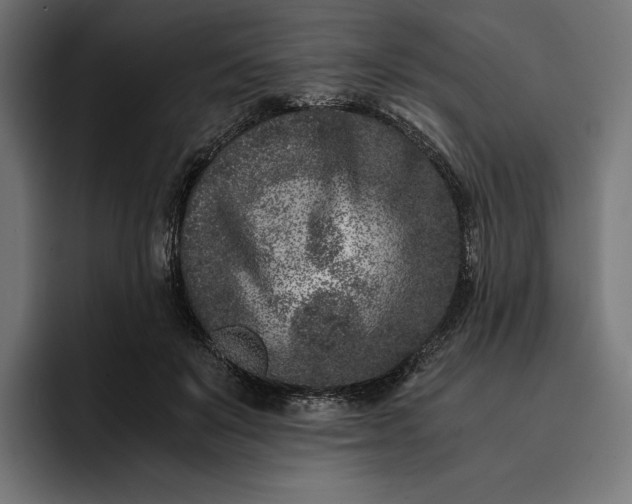 X0000093120503200710101043