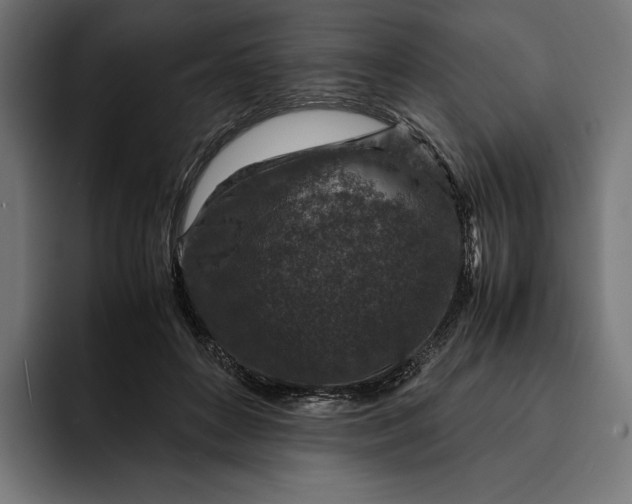 X0000093120504200710101043