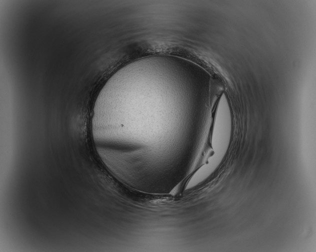 X0000093120505200710101043