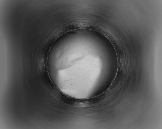 X0000093120506200710101042