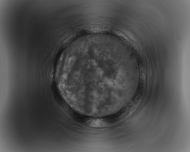 X0000093120507200710101042