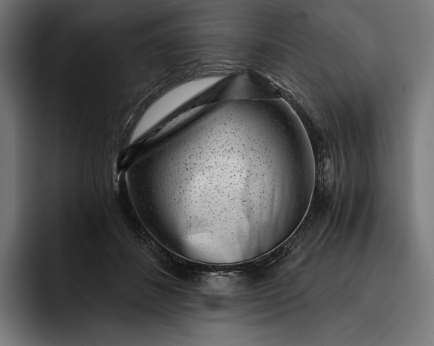 X0000093120508200710101042