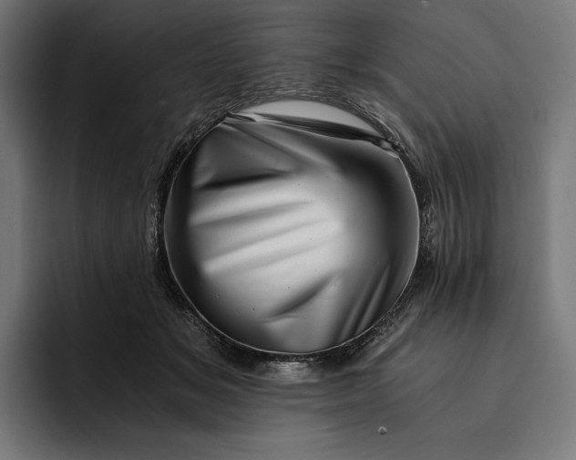 X0000093120509200710101042