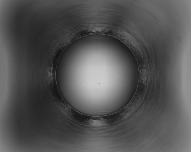 X0000093120510200710101042