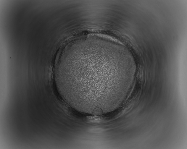 X0000093120511200710101042