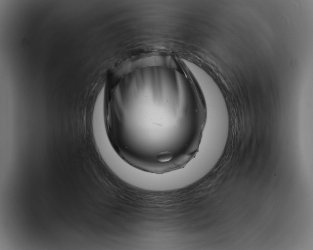 X0000093120512200710101042