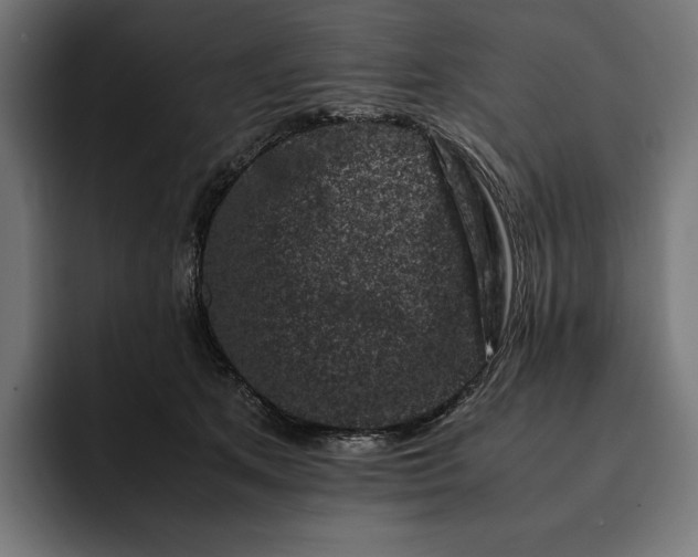 X0000093120513200710101042